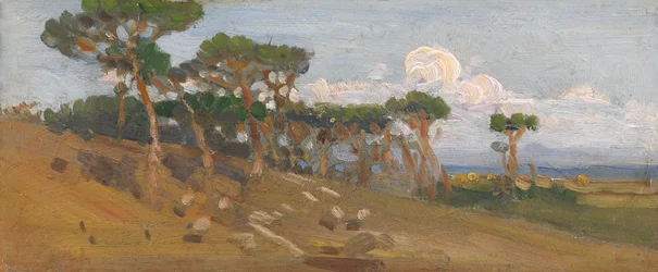 Árboles a lo largo de la laguna
